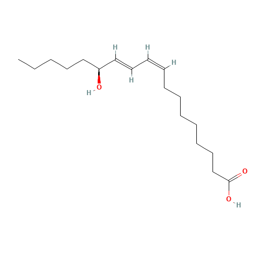 13(S)-HYDROXYOCTADECA-9Z,11E-DIENOIC ACID (CAS: 29623-28-7) - Related Chemical Product