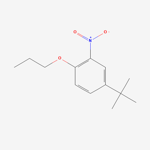 4-tert-Butyl-2-nitrophenyl propyl ether (CAS: 33353-60-5) - Related Chemical Product