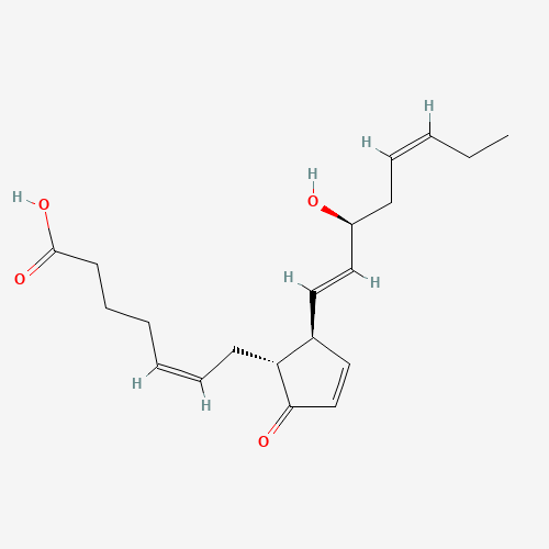 9-OXO-15S-HYDROXY-PROSTA-5Z,10,13E,17Z-TETRAEN-1-OIC ACID (CAS: 36614-31-0) - Related Chemical Product