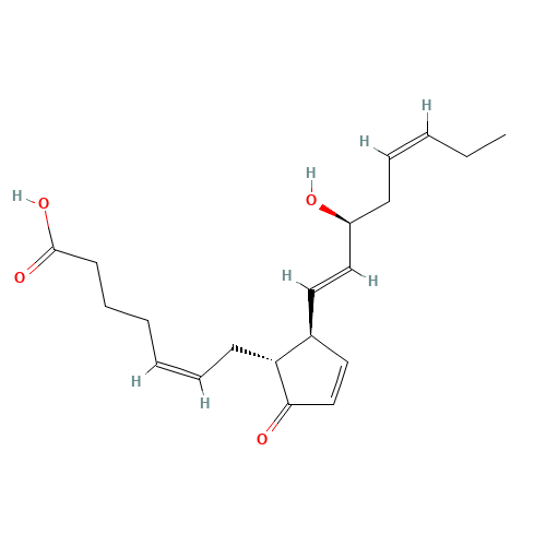 9-OXO-15S-HYDROXY-PROSTA-5Z,10,13E,17Z-TETRAEN-1-OIC ACID (CAS: 36614-31-0) - Related Chemical Product
