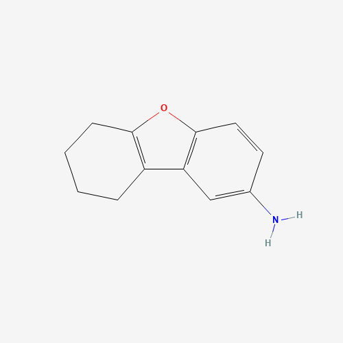 6,7,8,9-TETRAHYDRO-DIBENZOFURAN-2-YLAMINE (CAS: 38084-44-5) - Related Chemical Product
