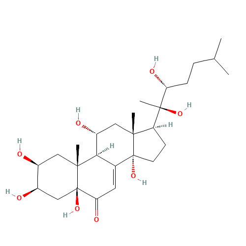 MURISTERONE A (CAS: 38778-30-2) - Related Chemical Product