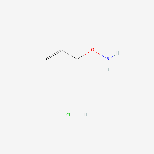 O-ALLYLHYDROXYLAMINE HYDROCHLORIDE (CAS: 38945-21-0) - Related Chemical Product