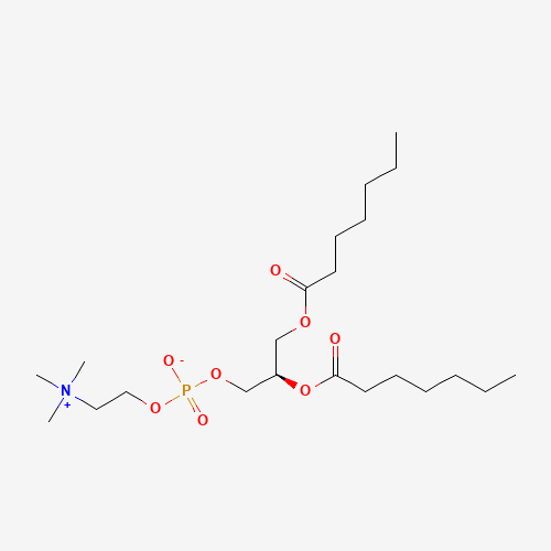 1,2-DIHEPTANOYL-SN-GLYCERO-3-PHOSPHOCHOLINE (CAS: 39036-04-9) - Related Chemical Product