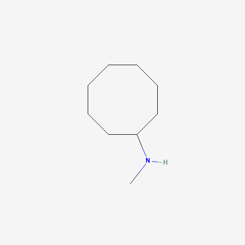 CYCLOOCTYLMETHYLAMINE (CAS: 40221-52-1) - Related Chemical Product