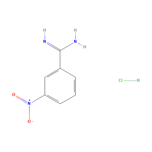 3-NITROBENZAMIDINE HYDROCHLORIDE (CAS: 56406-50-9) - Related Chemical Product