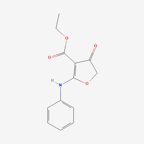 ETHYL 2-ANILINO-4-OXO-4,5-DIHYDRO-3-FURANCARBOXYLATE (CAS: 58337-16-9) - Related Chemical Product