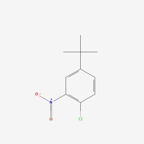 1-tert-Butyl-3-nitro-4-chlorobenzene (CAS: 58574-05-3) - Related Chemical Product