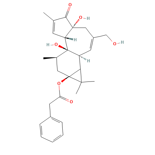 12-DEOXYPHORBOL 13-PHENYLACETATE (CAS: 58821-98-0) - Related Chemical Product