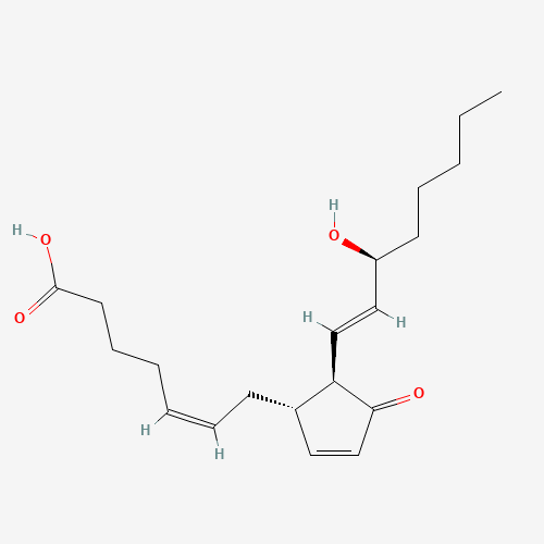 PROSTAGLANDIN J2 (CAS: 60203-57-8) - Related Chemical Product