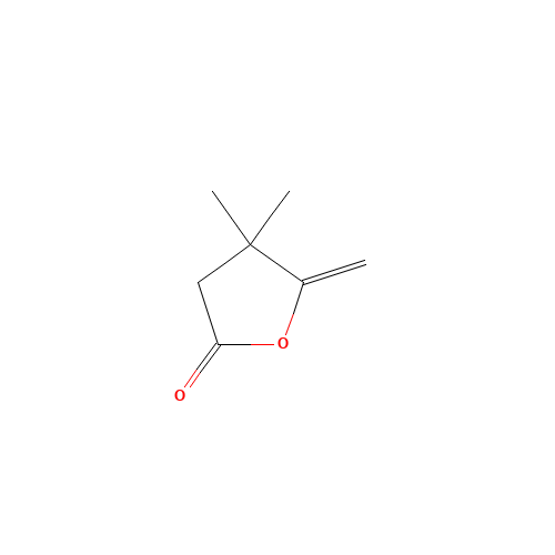 4,4-DIMETHYL-5-METHYLENE-GAMMA-BUTYROLACTONE (CAS: 65371-43-9) - Related Chemical Product