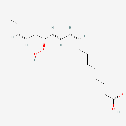 13(S)-HYDROPEROXY-(9Z,11E,15Z)-OCTADECATRIENOIC ACID (CAS: 67597-26-6) - Related Chemical Product
