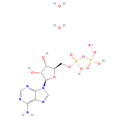 ADENOSINE 5'-DIPHOSPHATE MONOPOTASSIUM SALT (CAS: 72696-48-1) - Related Chemical Product