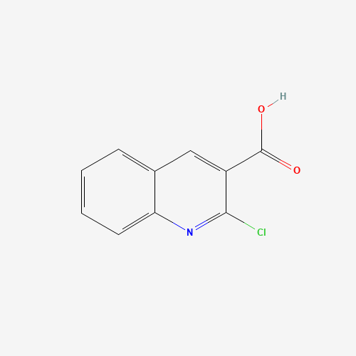2-CHLORO-3-QUINOLINECARBOXYLIC ACID (CAS: 73776-25-7) - Related Chemical Product
