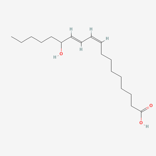 (+/-)13-HODE (CAS: 73804-64-5) - Related Chemical Product