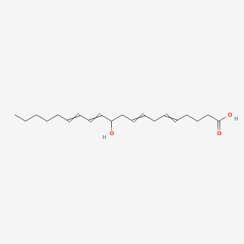 (+/-)11-HETE (CAS: 73804-65-6) - Related Chemical Product