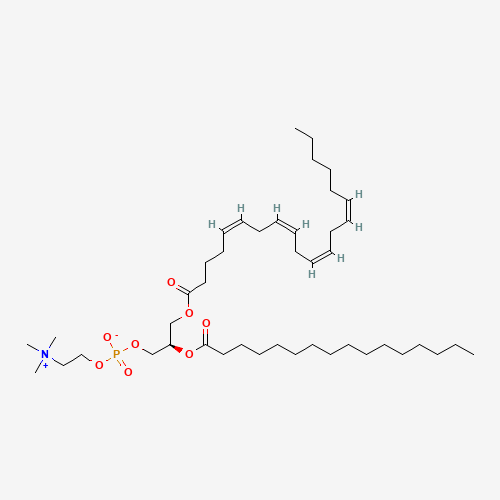 1-HEXADECANOYL-2-[(CIS,CIS,CIS,CIS)-5,8,11,14-EICOSATETRAENOYL]-SN-GLYCERO-3-PHOSPHOCHOLINE (CAS: 74936-60-0) - Related Chemical Product