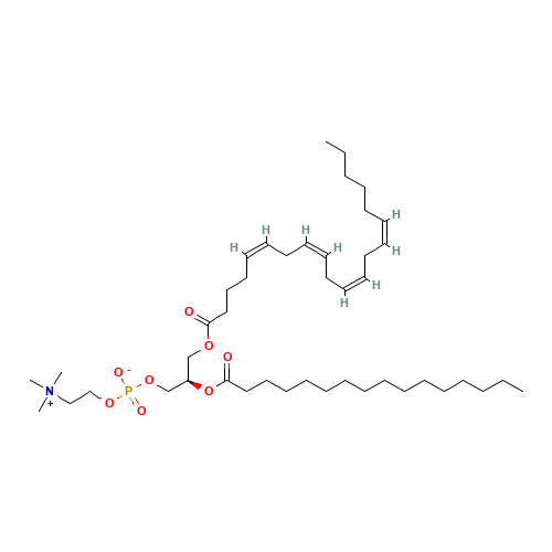 1-HEXADECANOYL-2-[(CIS,CIS,CIS,CIS)-5,8,11,14-EICOSATETRAENOYL]-SN-GLYCERO-3-PHOSPHOCHOLINE (CAS: 74936-60-0) - Related Chemical Product