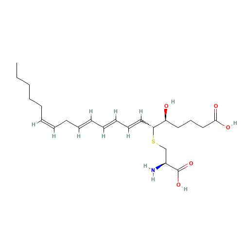 11-TRANS LEUKOTRIENE E4 (CAS: 75715-88-7) - Related Chemical Product