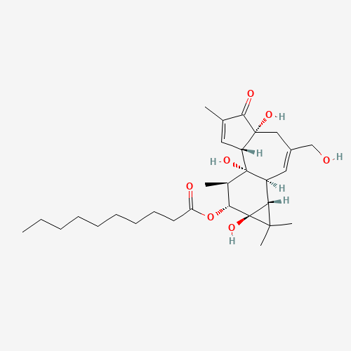 PHORBOL-12-DECANOATE (CAS: 76423-68-2) - Related Chemical Product