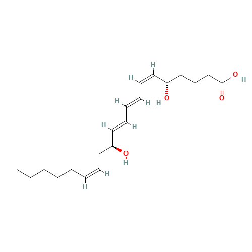 12-EPI LEUKOTRIENE B4 (CAS: 83709-73-3) - Related Chemical Product