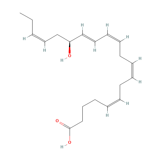 15(S)-HEPE (CAS: 86282-92-0) - Related Chemical Product