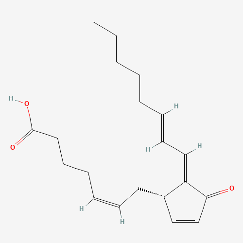 15D-PGJ2 (CAS: 87893-55-8) - Chemical Structure and Molecular Formula 