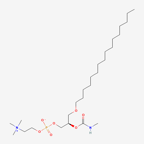 1-O-HEXADECYL-2-N-METHYLCARBAMYL-SN-GLYCERO-3-PHOSPHOCHOLINE (CAS: 91575-58-5) - Related Chemical Product