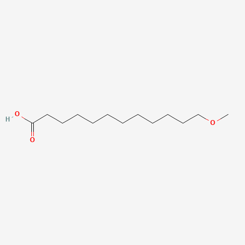 12-METHOXYDODECANOIC ACID (CAS: 92169-28-3) - Related Chemical Product