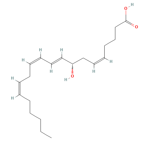 8(S)-HETE (CAS: 98462-03-4) - Related Chemical Product