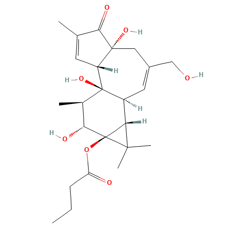 PHORBOL 13-BUTYRATE,4BETA (CAS: 100929-94-0) - Related Chemical Product