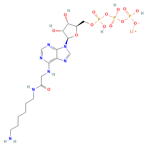 N6-([6-AMINOHEXYL]CARBAMOYL-METHYL)ADENOSINE 5'-TRIPHOSPHATE LITHIUM SALT (CAS: 102185-24-0) - Related Chemical Product