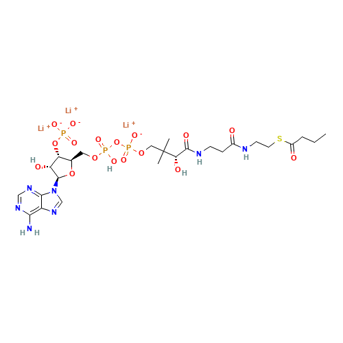 N-BUTYRYL COENZYME A LITHIUM SALT (CAS: 102282-28-0) - Related Chemical Product