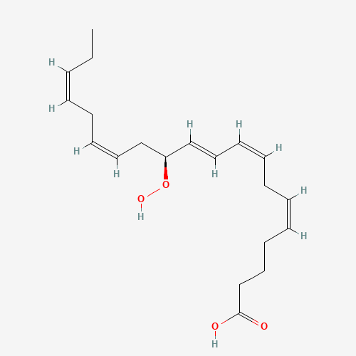 12(S)-HPEPE (CAS: 103239-14-1) - Related Chemical Product