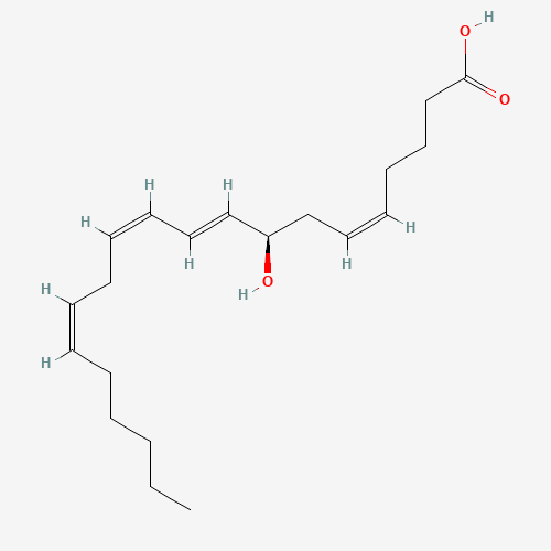 8(R)-HYDROXY-(5Z,9E,11Z,14Z)-EICOSATETRAENOIC ACID (CAS: 105500-09-2) - Related Chemical Product