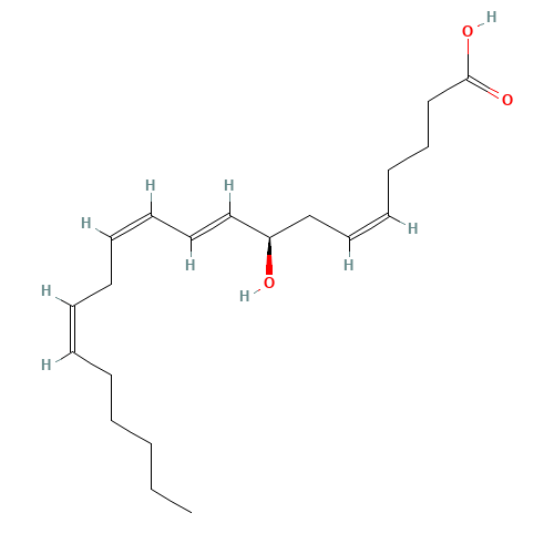 8(R)-HYDROXY-(5Z,9E,11Z,14Z)-EICOSATETRAENOIC ACID (CAS: 105500-09-2) - Related Chemical Product
