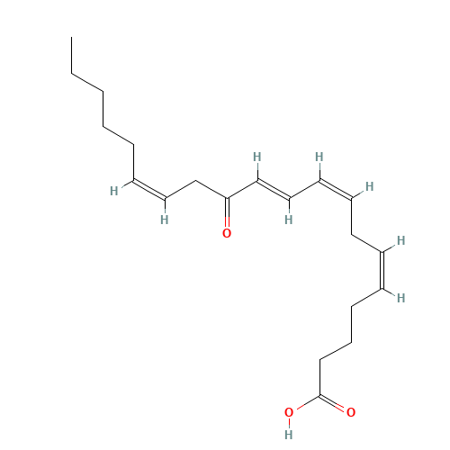 12-KETE (CAS: 108437-64-5) - Related Chemical Product