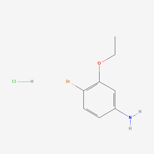 4-BROMO-3-ETHOXYANILINE HYDROCHLORIDE (CAS: 125756-95-8) - Related Chemical Product