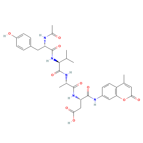 AC-YVAD-AMC (CAS: 149231-65-2) - Related Chemical Product