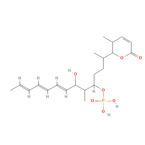 5,5-DIHYDRO-5-METHYL-6-(1,5-DIMETHYL-6-HYDROXY-4-(PHOSPHORYLOXY)TRIDECA-7,9,11-TRIENYL)-2H-PYRAN-2-ONE (SODIUM SALT) (CAS: 156856-30-3) - Related Chemical Product