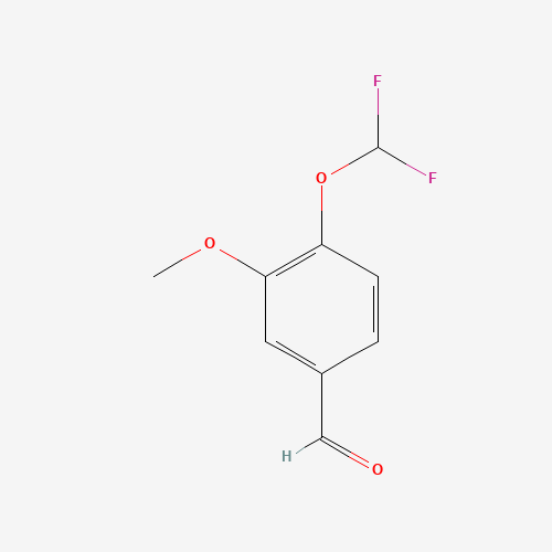 4-DIFLUOROMETHOXY-3-METHOXY-BENZALDEHYDE (CAS: 162401-70-9) - Related Chemical Product