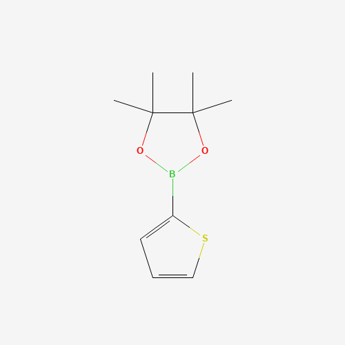 Thiophene-2-boronic acid pinacol ester (CAS: 193978-23-3) - Related Chemical Product