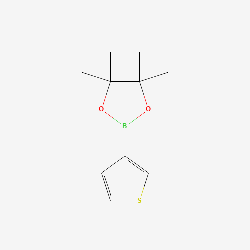 Thiophene-3-boronic acid pinacol ester (CAS: 214360-70-0) - Chemical Structure and Molecular Formula 