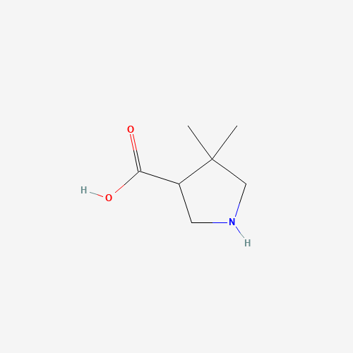 4,4-DIMETHYL-PYRROLIDINE-3-CARBOXYLIC ACID (CAS: 261896-35-9) - Chemical Structure and Molecular Formula 