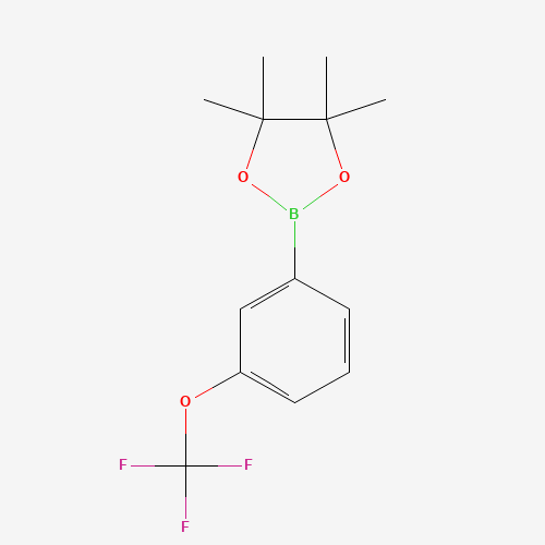 3-(TRIFLUOROMETHOXY)PHENYLBORONIC ACID,PINACOL ESTER (CAS: 262376-31-8) - Chemical Structure and Molecular Formula 