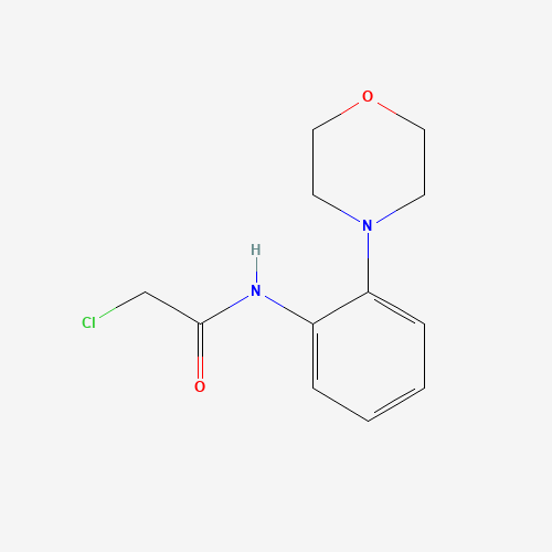 2-CHLORO-N-(2-MORPHOLIN-4-YL-PHENYL)-ACETAMIDE (CAS: 303151-23-7) - Related Chemical Product