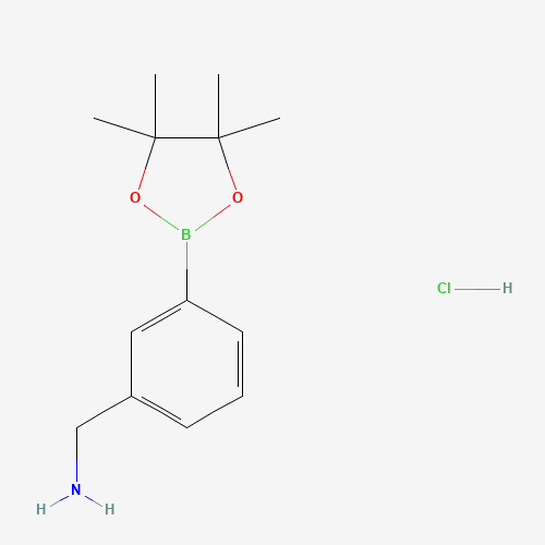 3-AMINOMETHYLPHENYLBORONIC ACID,PINACOL ESTER,HCL (CAS: 380430-65-9) - Related Chemical Product