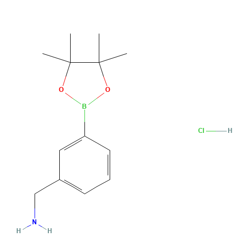 3-AMINOMETHYLPHENYLBORONIC ACID,PINACOL ESTER,HCL (CAS: 380430-65-9) - Related Chemical Product
