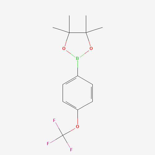4,4,5,5-TETRAMETHYL-2-(4-TRIFLUOROMETHOXYPHENYL)-1,3,2-DIOXABOROLANE (CAS: 474709-28-9) - Chemical Structure and Molecular Formula 