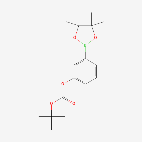 TERT-BUTYL-3-(4,4,5,5-TETRAMETHYL-1,3,2-DIOXABOROLAN-2-YL)PHENYL CARBONATE (CAS: 480438-74-2) - Chemical Structure and Molecular Formula 